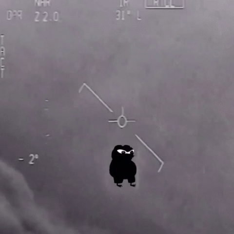 96ea8063-f41b-4aaa-bcfe-e03eb62ac357