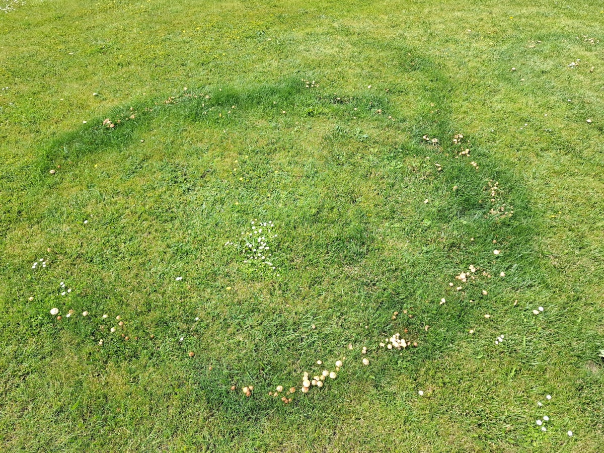 f507a744-f5e4-4677-b791-d4260d4973e0