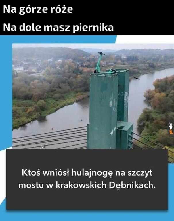 46447fa8-8321-40a4-81a0-b91917dd86d5