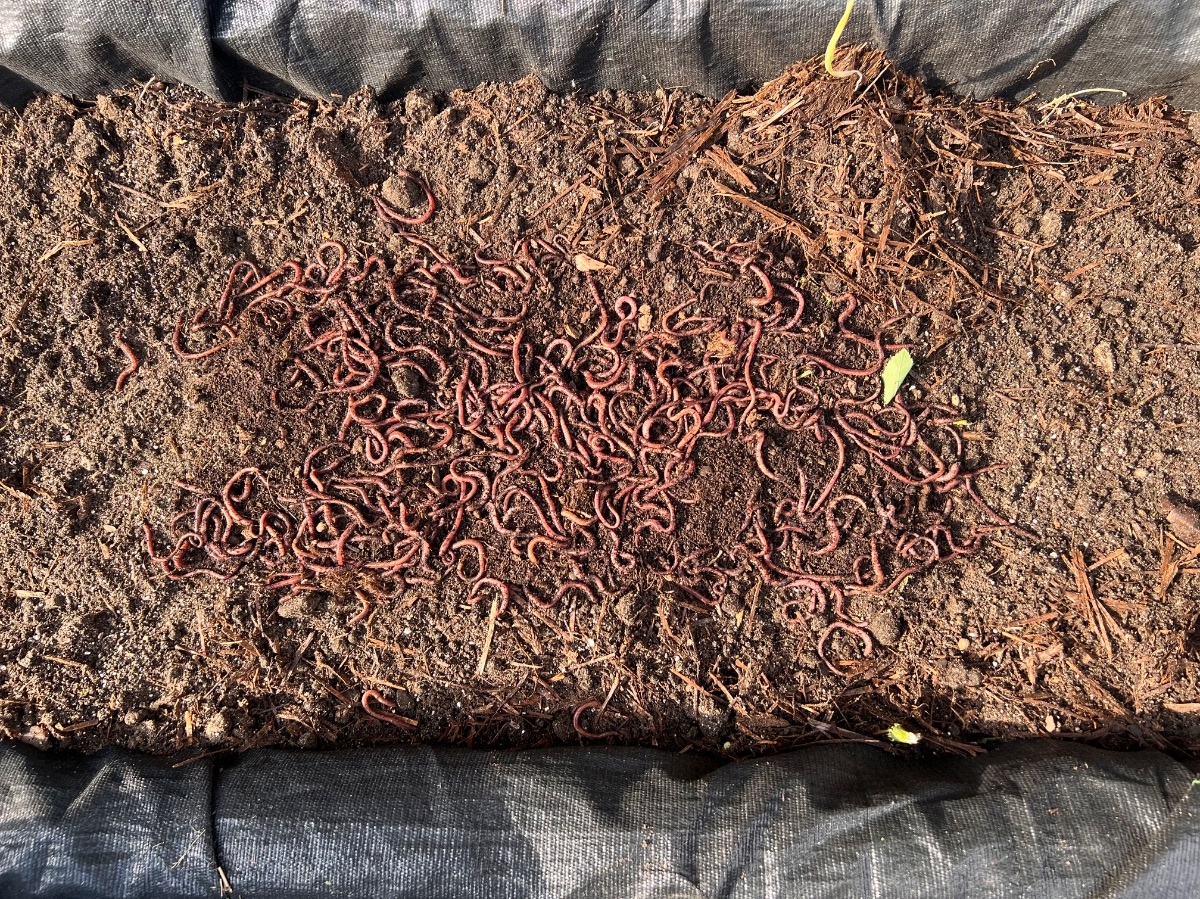 ee1679cd-3d1f-4f0c-9a6e-e922a40e8093