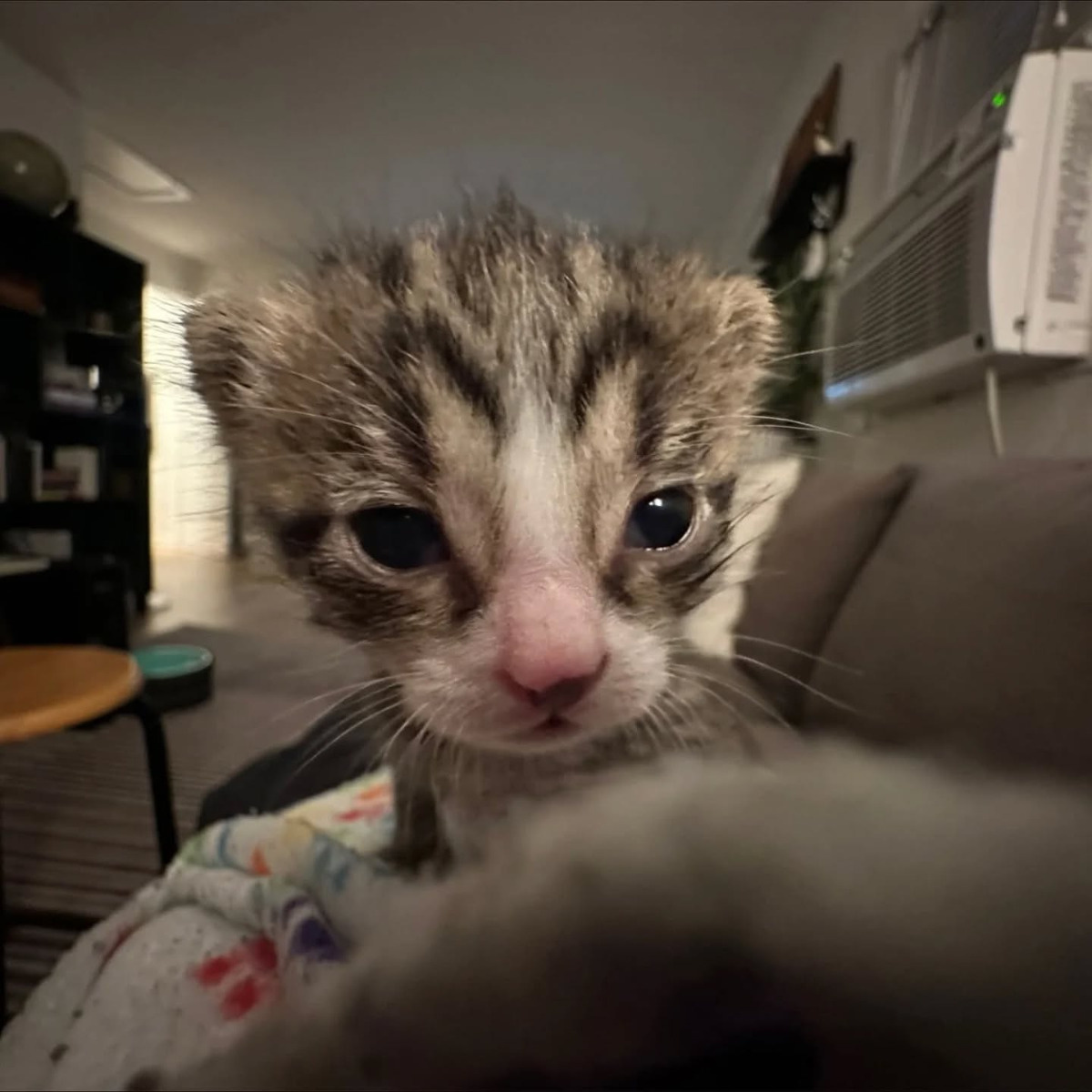 a92ef2ae-82f1-4506-b203-4dada5dbc48a