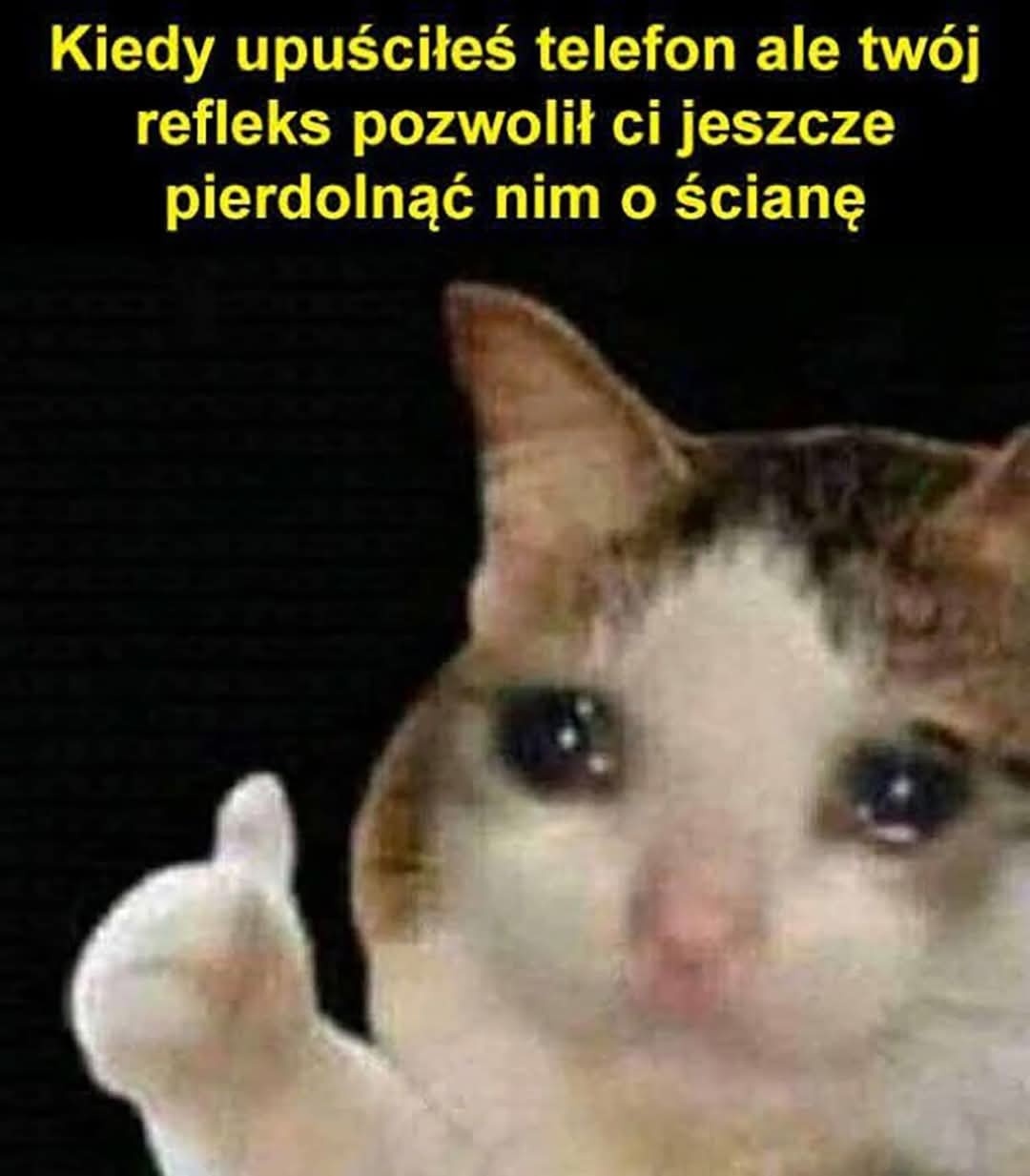 e6568e92-bd67-445e-8452-687de63e1599