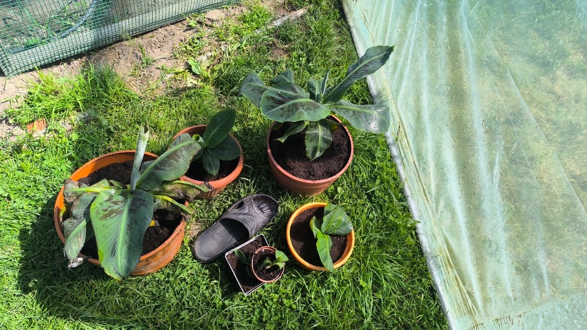 de8c6119-80c4-4c61-851d-8b2eea71ecde