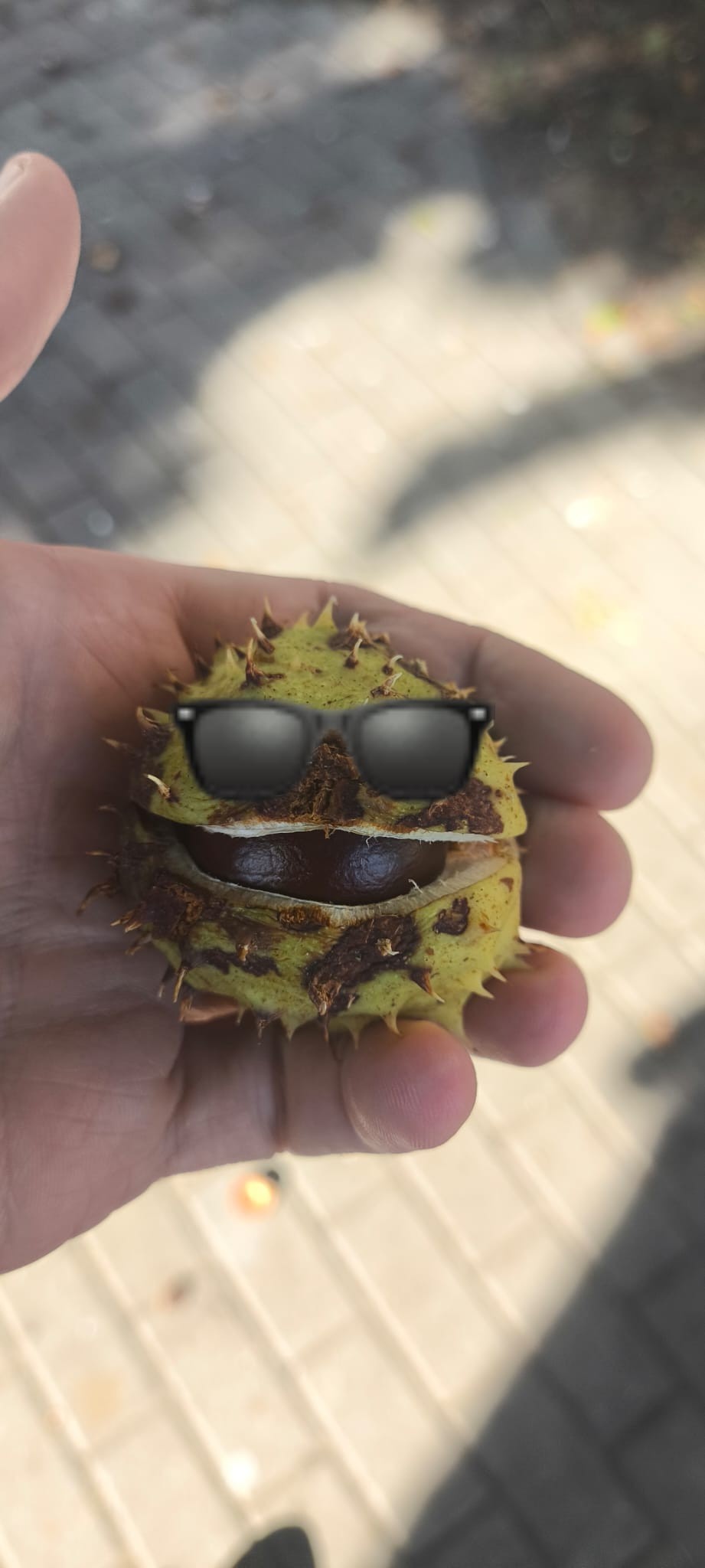 56fa67b7-e042-43f0-ab23-a55f0e57229a