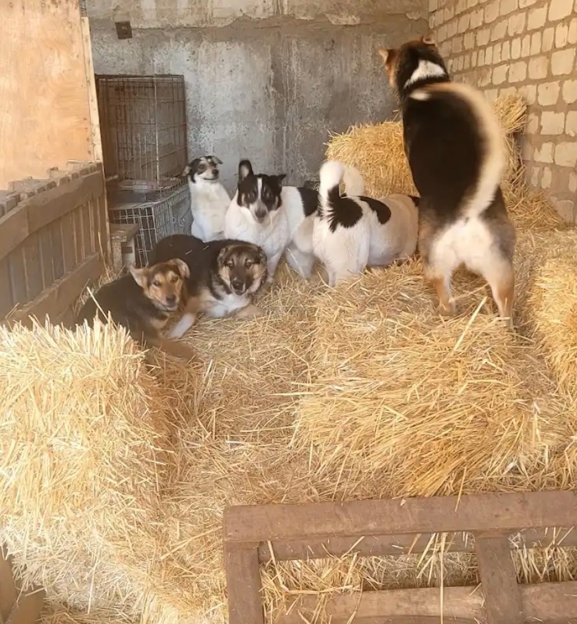 e32a6f55-8931-4c45-b3d5-3532ad0d2d00