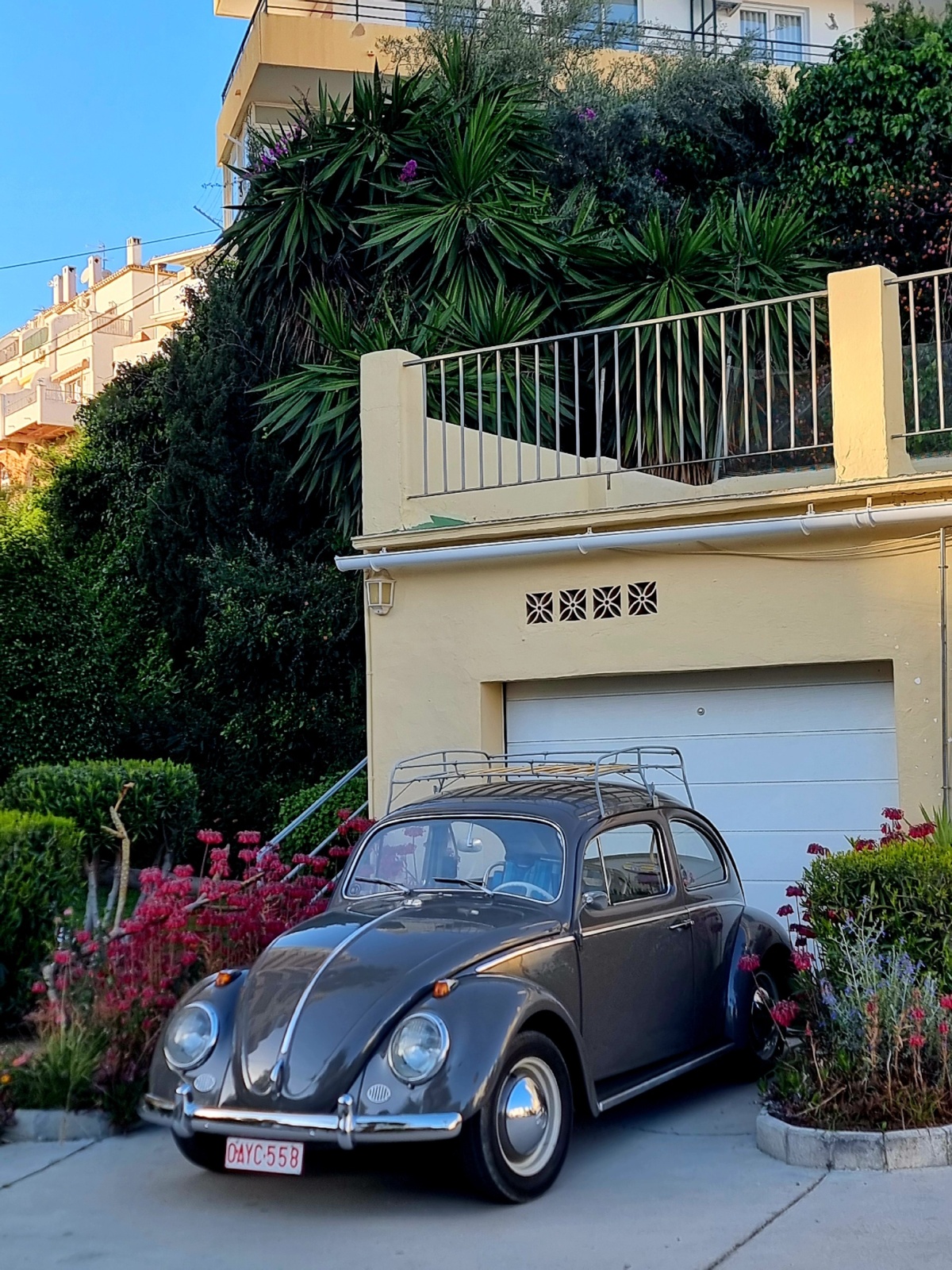 a2a0ee11-9f08-4b99-8bab-ee5b9021ad1f