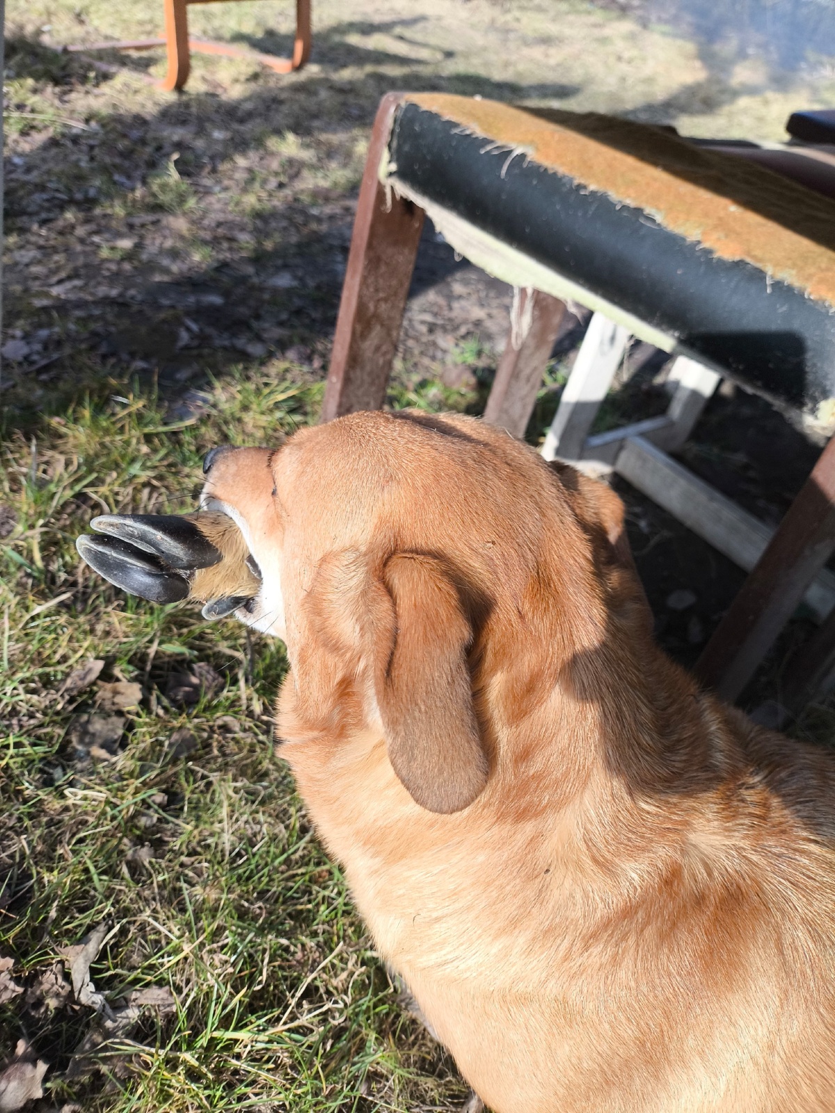 ab8da096-e292-4b13-b4ea-529a8e00c028