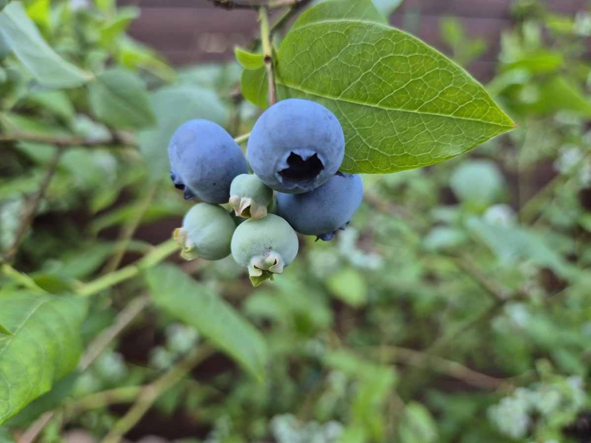 d8114f3b-1b44-4a6a-b573-cb57c342f769