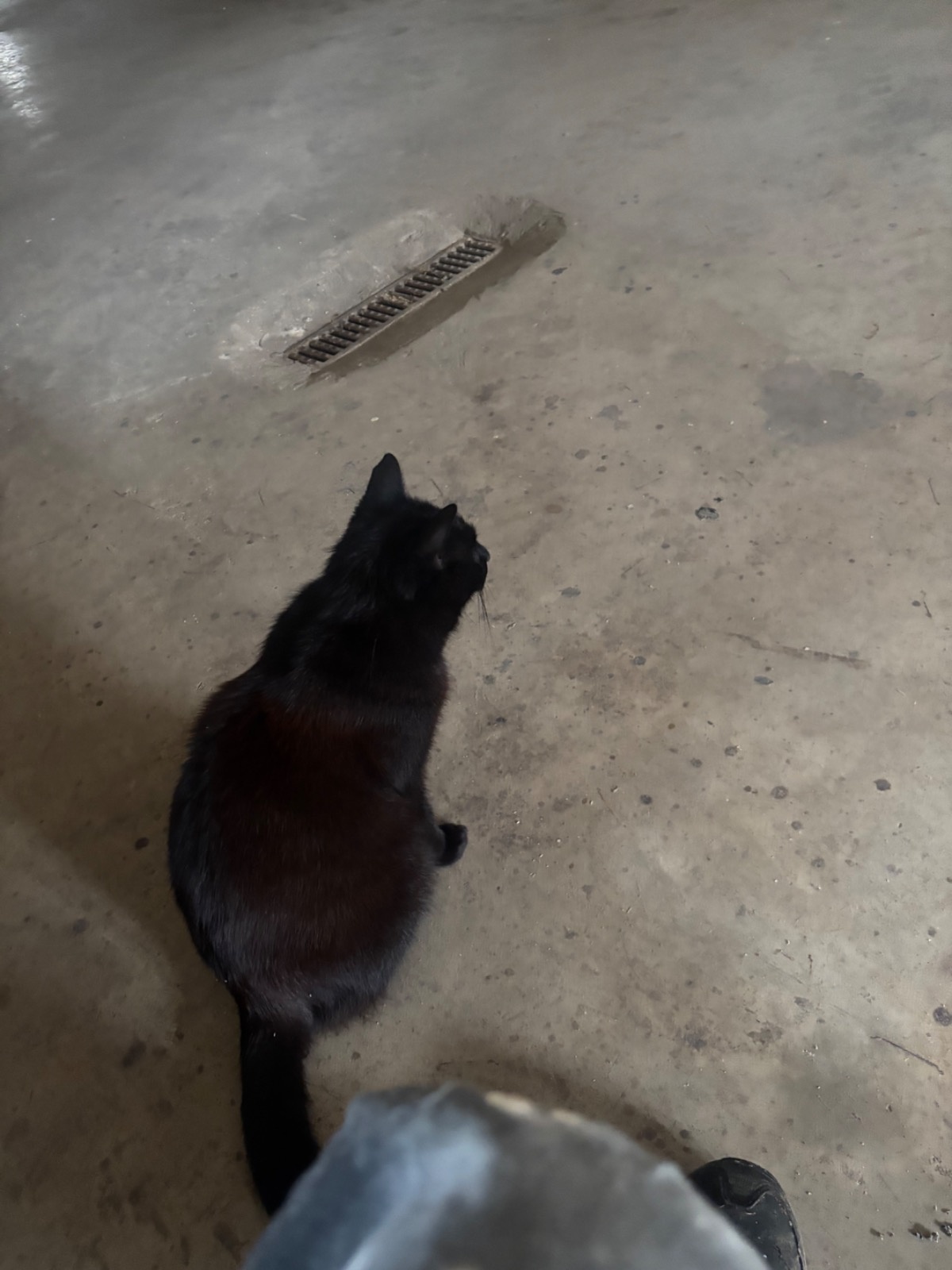 e5783b8f-717f-4aac-b25d-01f6503028b3