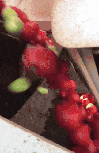 82b55559-25f9-4b8f-a48a-bad5a9fe24c8