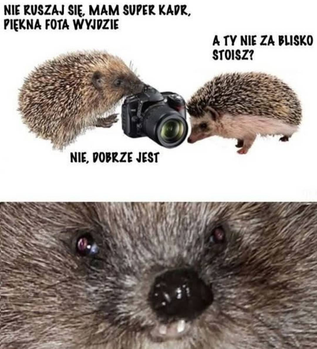 55d2222a-e4c6-481f-8167-960182f29864