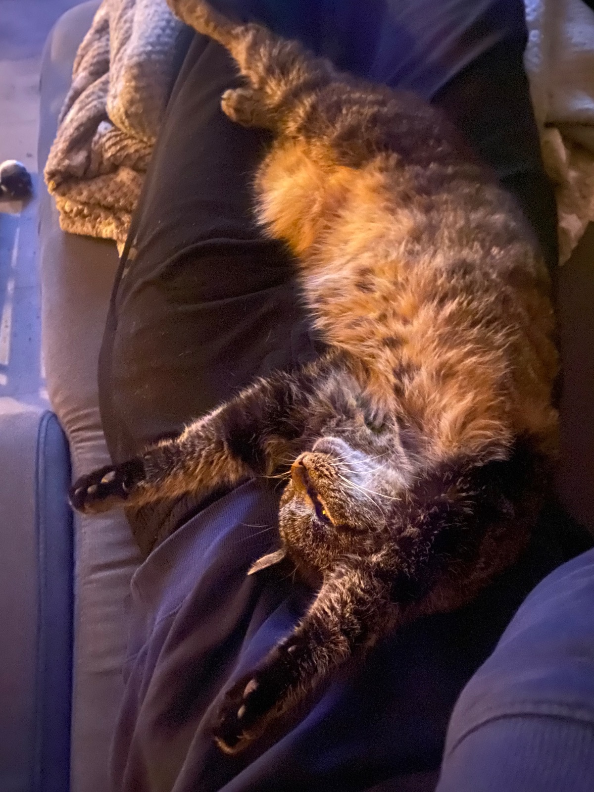 7e56fcfc-1db7-4ad6-8c36-3b844c8f63c7