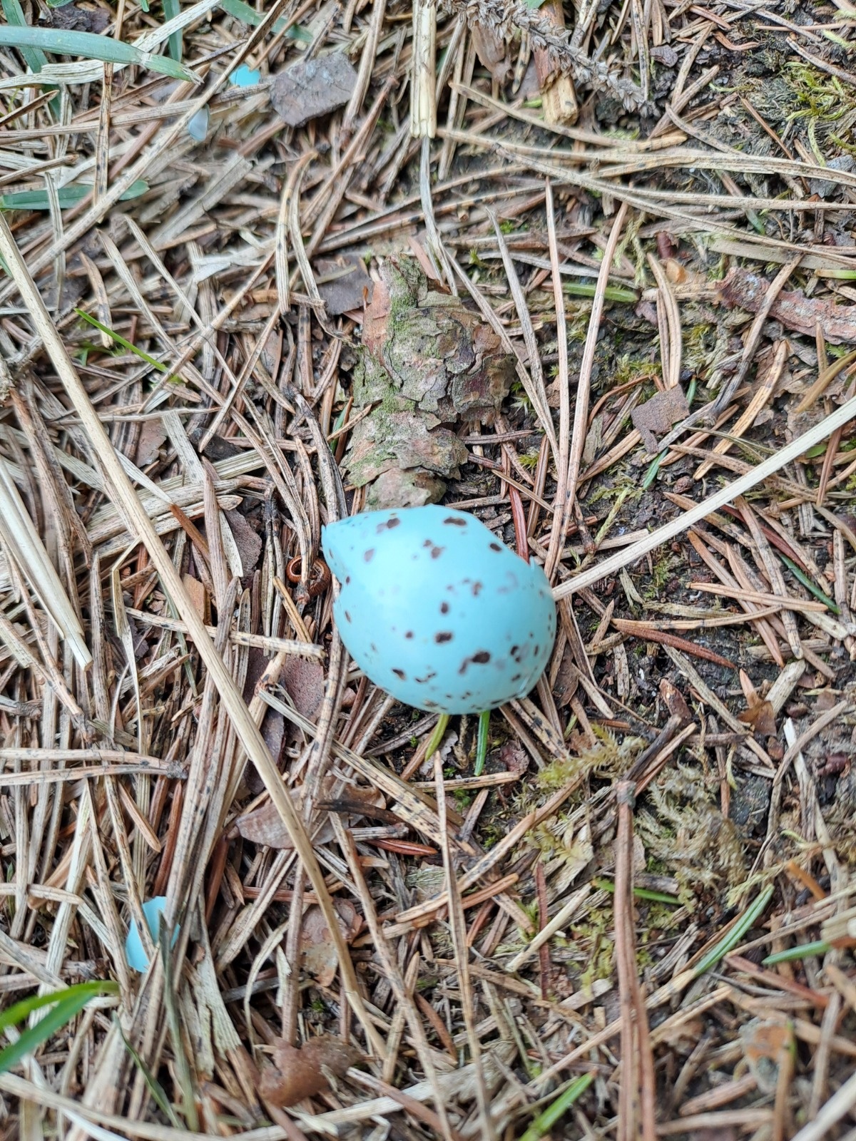 0959b9d3-2c44-4c0f-a5e2-b76b99c8f9e3