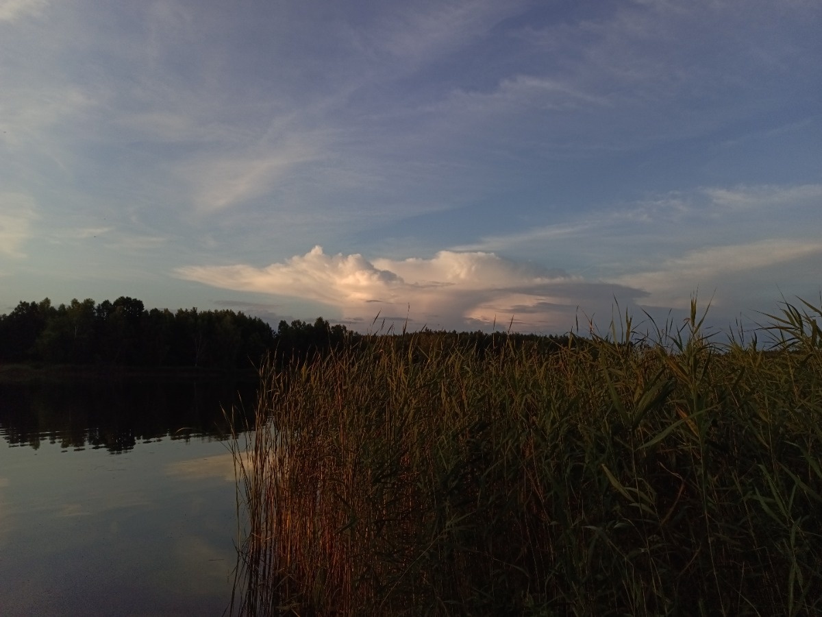 80ad14f0-b870-477e-aee5-d544d7c9423f