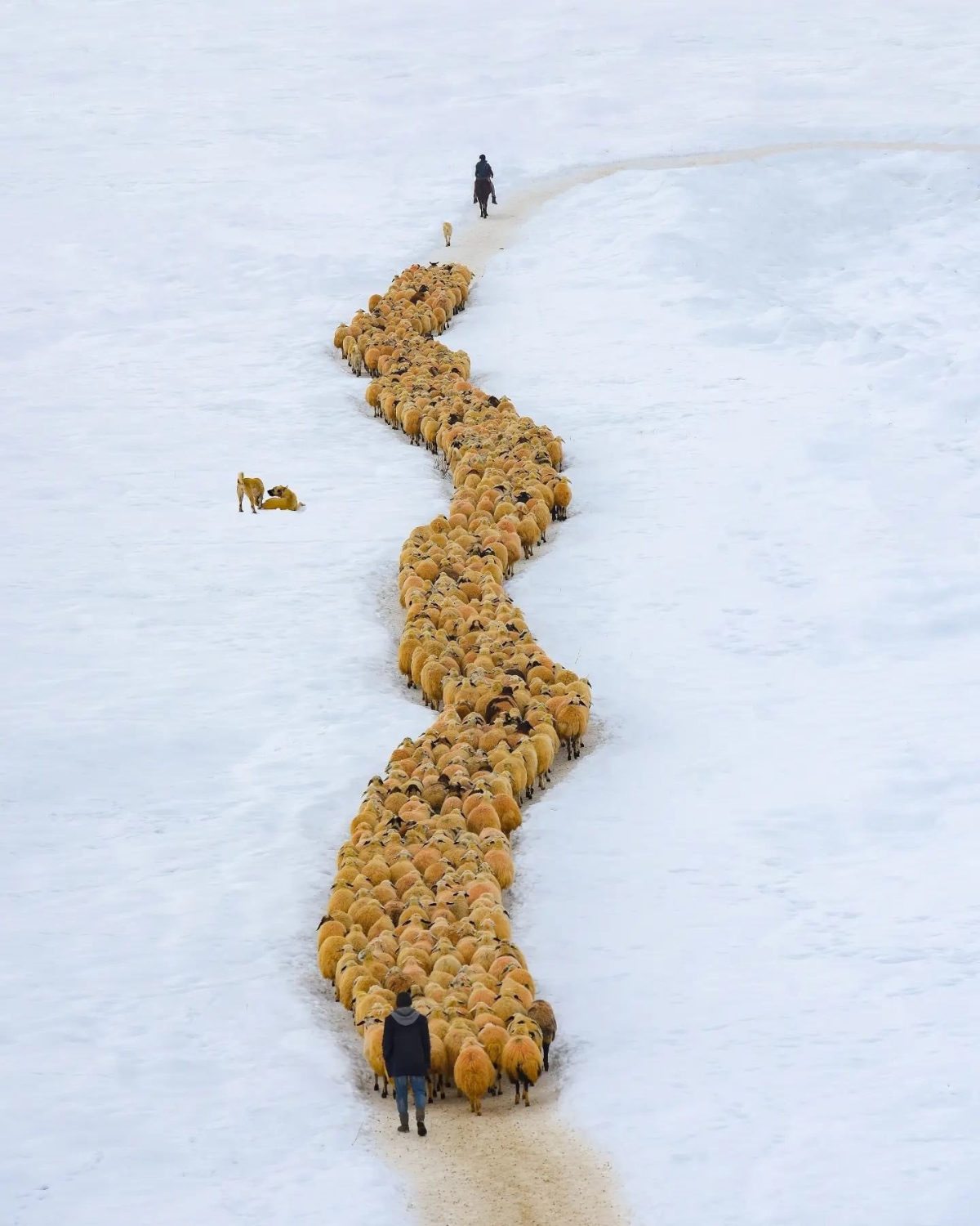 87694518-1f39-495c-88e5-35863b204cd9