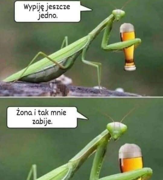 acc2654f-1901-466a-b332-e27873ef75cc