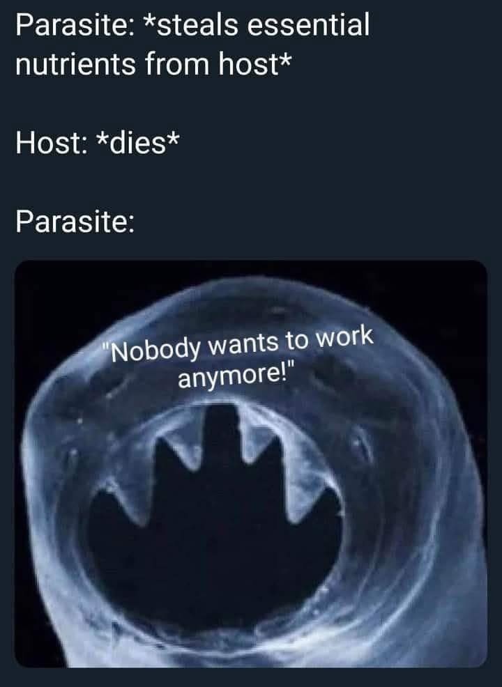 ab0403ef-132b-4e50-8b4f-4a809a6a850a