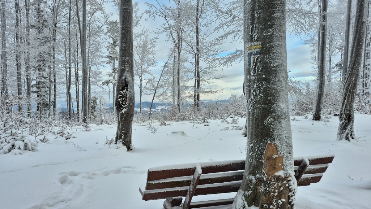 4d803fca-7fb8-4ef2-9f75-48b93772000e