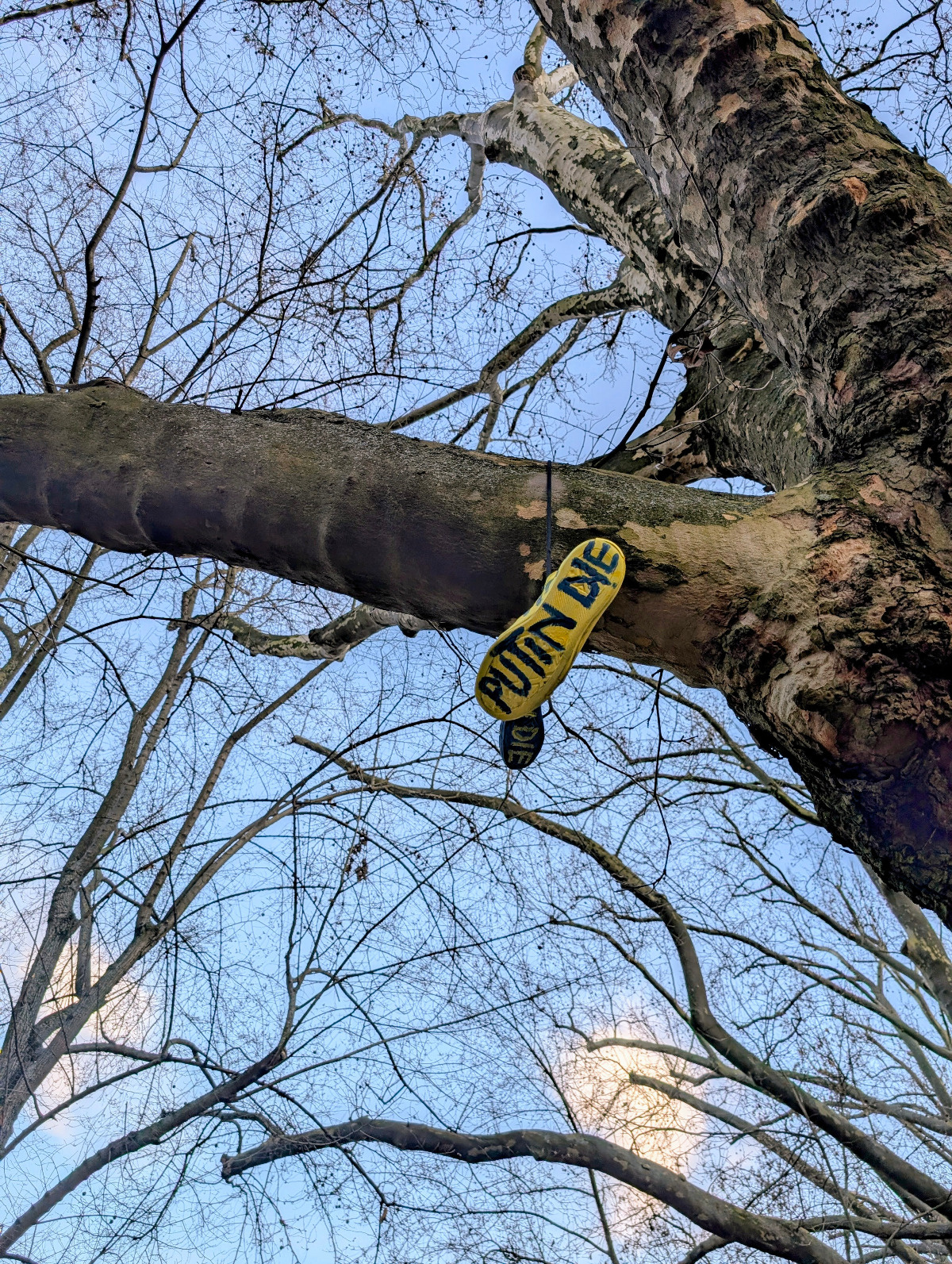 43f2e3c5-43ca-4fc5-81b1-d0c35dc641bd