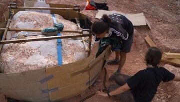 Hiszpania. Znaleziono skamieniałe jaja dinozaura. Są dobrze zachowane