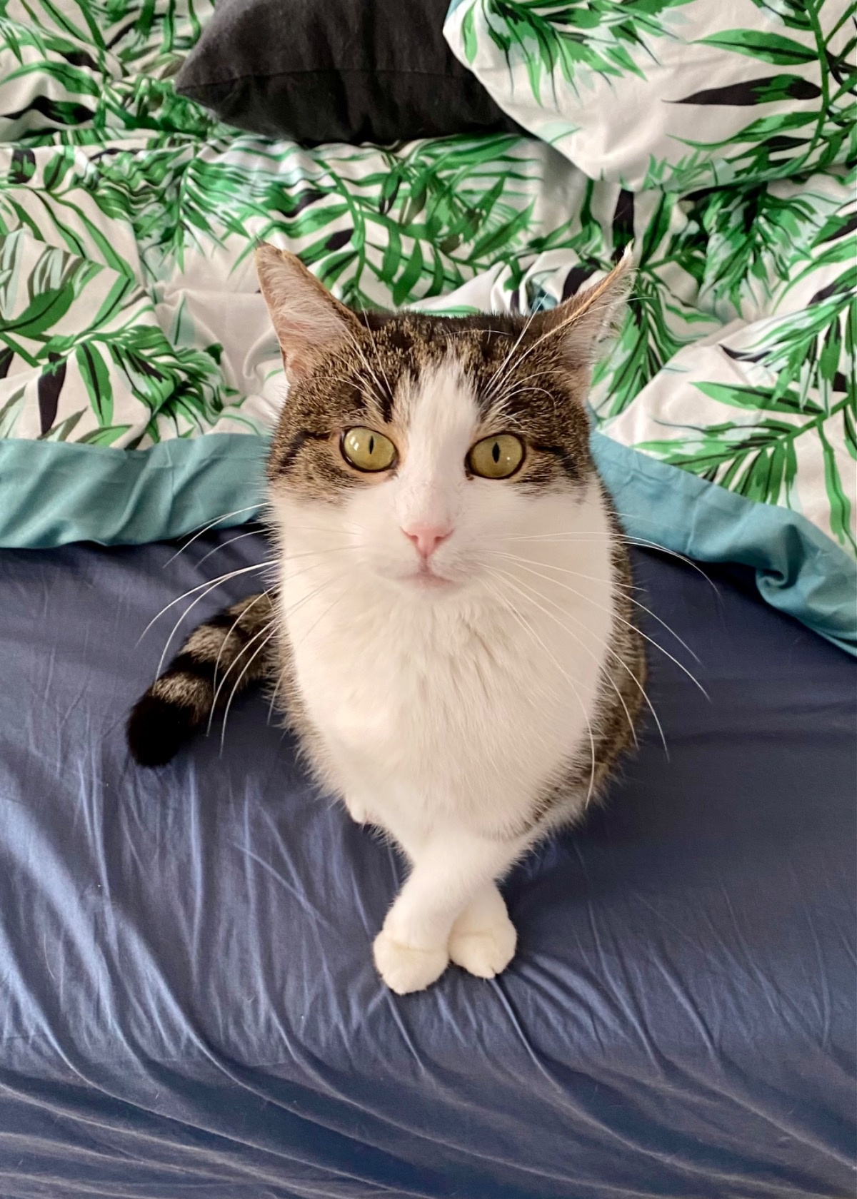 07bd7116-d853-4bcc-bd41-1d8e80ef9031