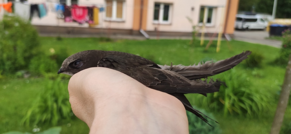 a21eebf6-f62c-453e-9cc3-dffd6186f989