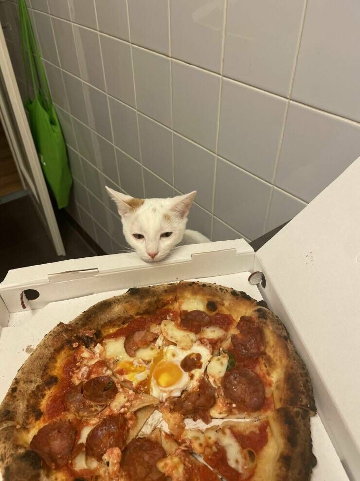 d0fd6822-8a81-45b9-a1de-b9b1b4a56e63