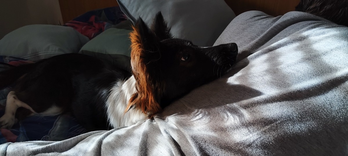 92012fb5-617a-4ba6-b759-849572f0bc4d