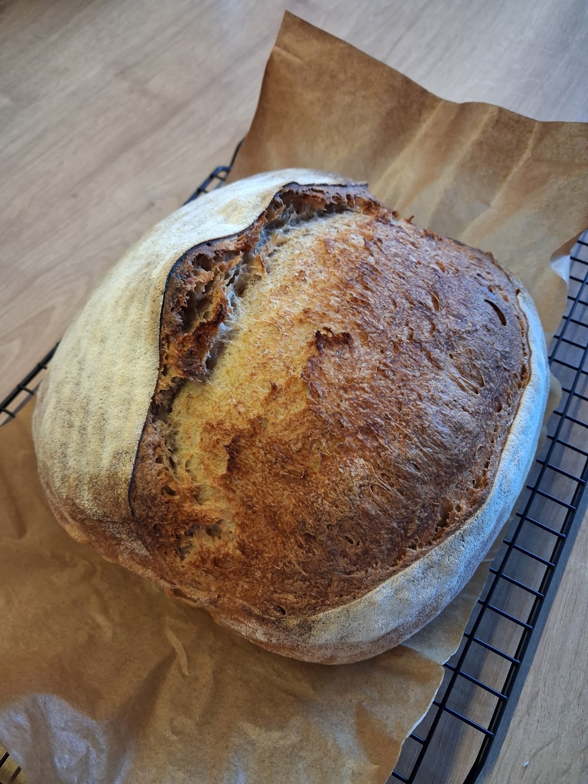 58c652e3-9505-41d3-b8b9-70ddc1f3818a