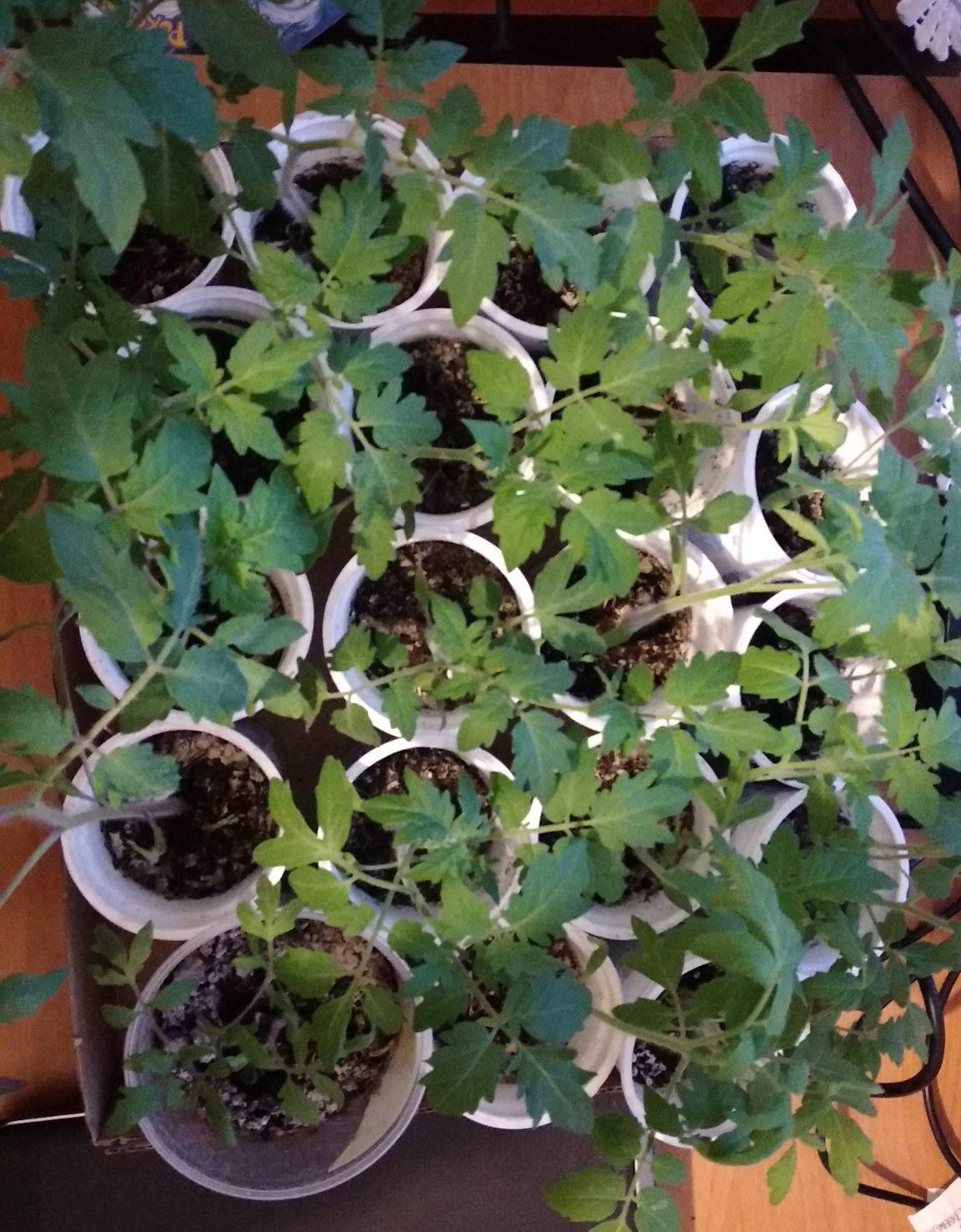 de932a8f-bec6-4bd8-a08e-d7a48a2c23ab