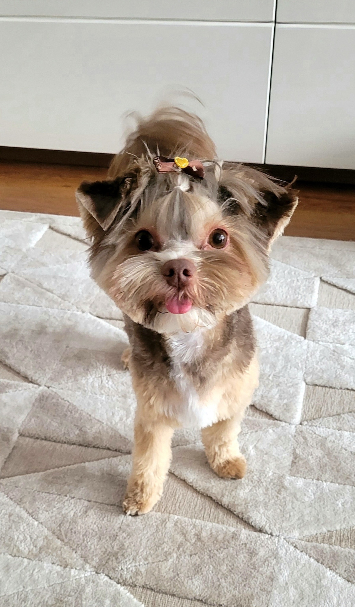 18e9b09e-ee4e-4c55-a0a1-f9c0c4aa3d6d