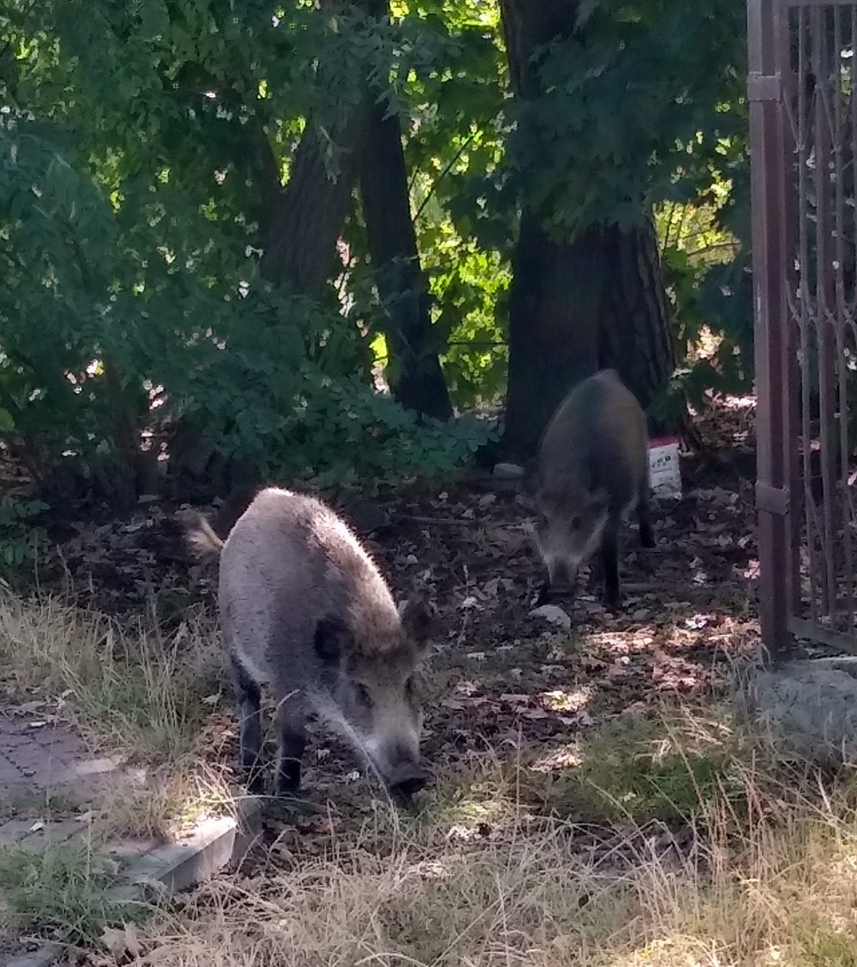 4ce34ef2-c8ba-4c1f-8d15-d68e7f812406