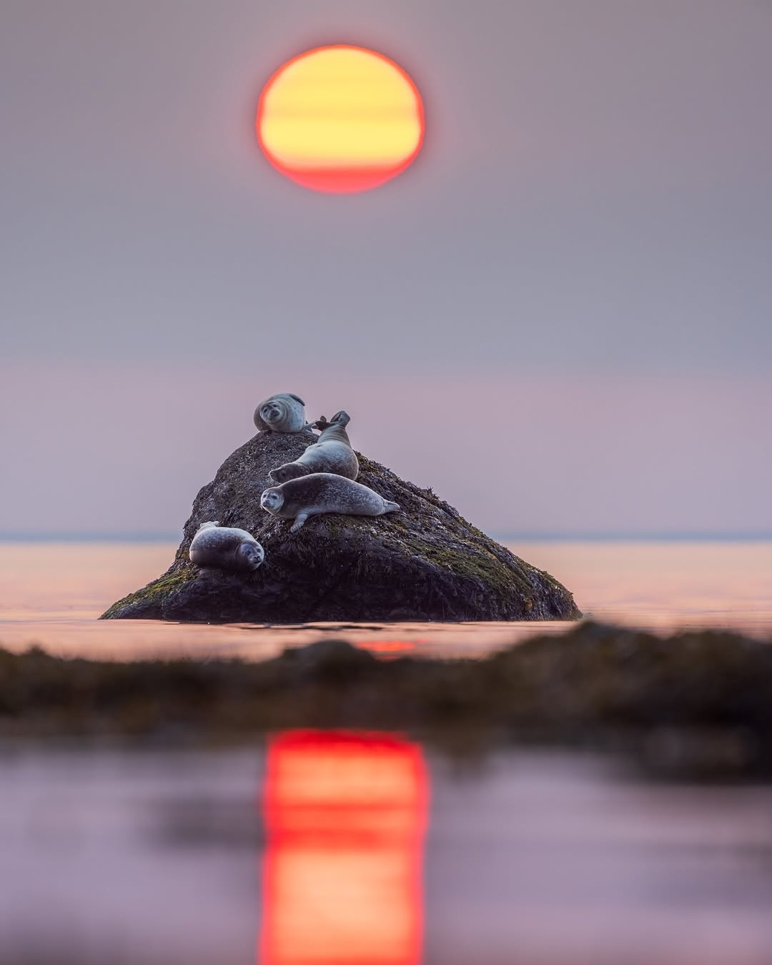 f586605f-c995-4a10-93be-652d38cdb86a