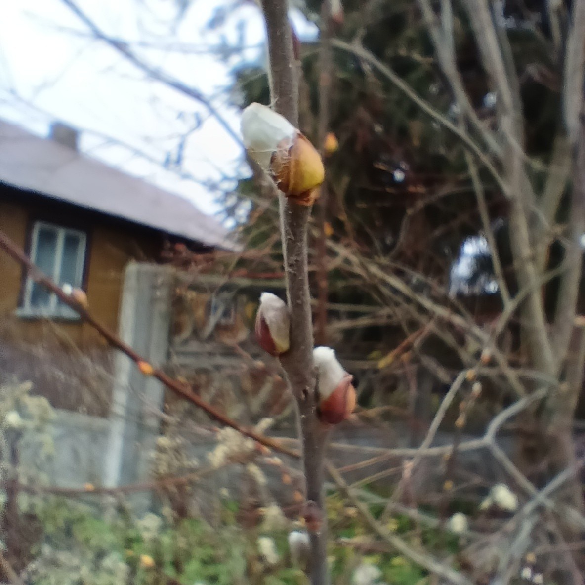 828c9d26-1833-4741-8ddf-39b1561a8378