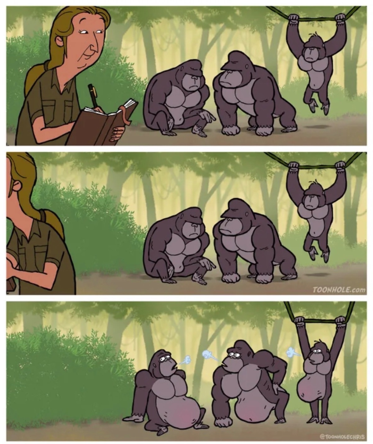 fc69abda-e193-423f-8d2e-1d5882139251