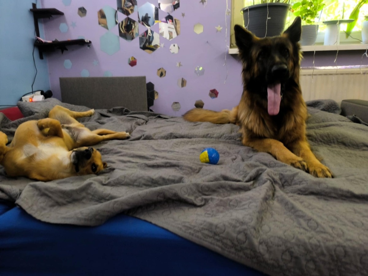 df2f9c23-861c-4151-9c57-dfaad52f7053