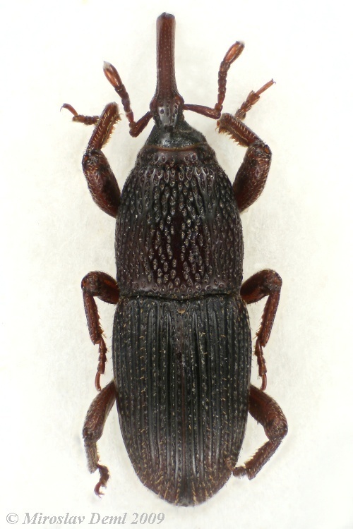 b1d5d67b-c8b8-4270-9ab7-ae23544ad33a