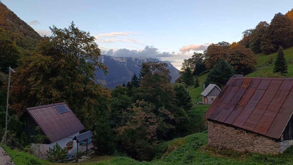 eea5e28c-588d-4a2c-84f0-80d2b1d39c1a