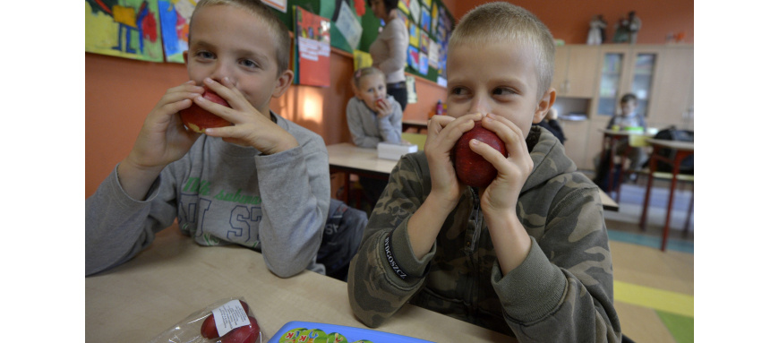 Podano stawki na dostarczanie owoców, warzyw i mleka do szkół w nowym roku szkolnym