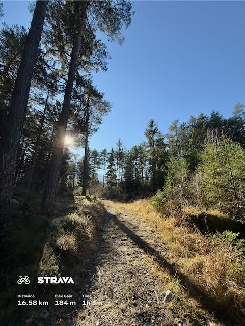 e54a6bf2-5a9e-411a-b1dc-3b0708b5d106