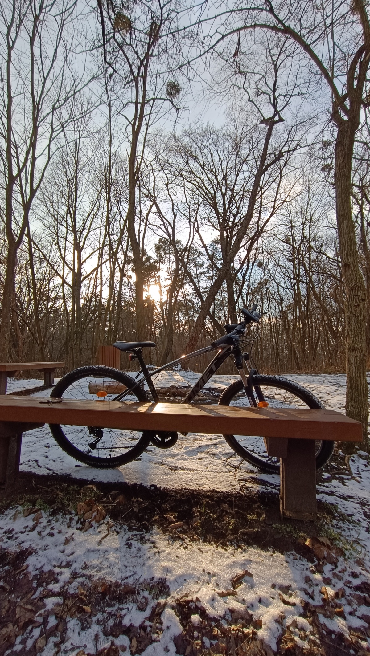 309d6293-4ed6-4213-a93a-fbd8b1f619d7