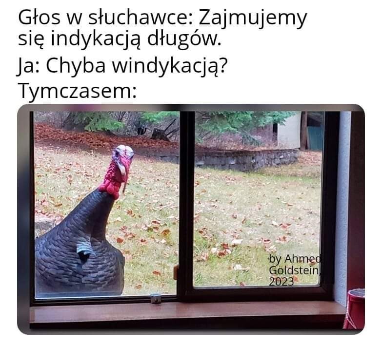 1f13c64e-0644-4493-81a9-ce38421162bc