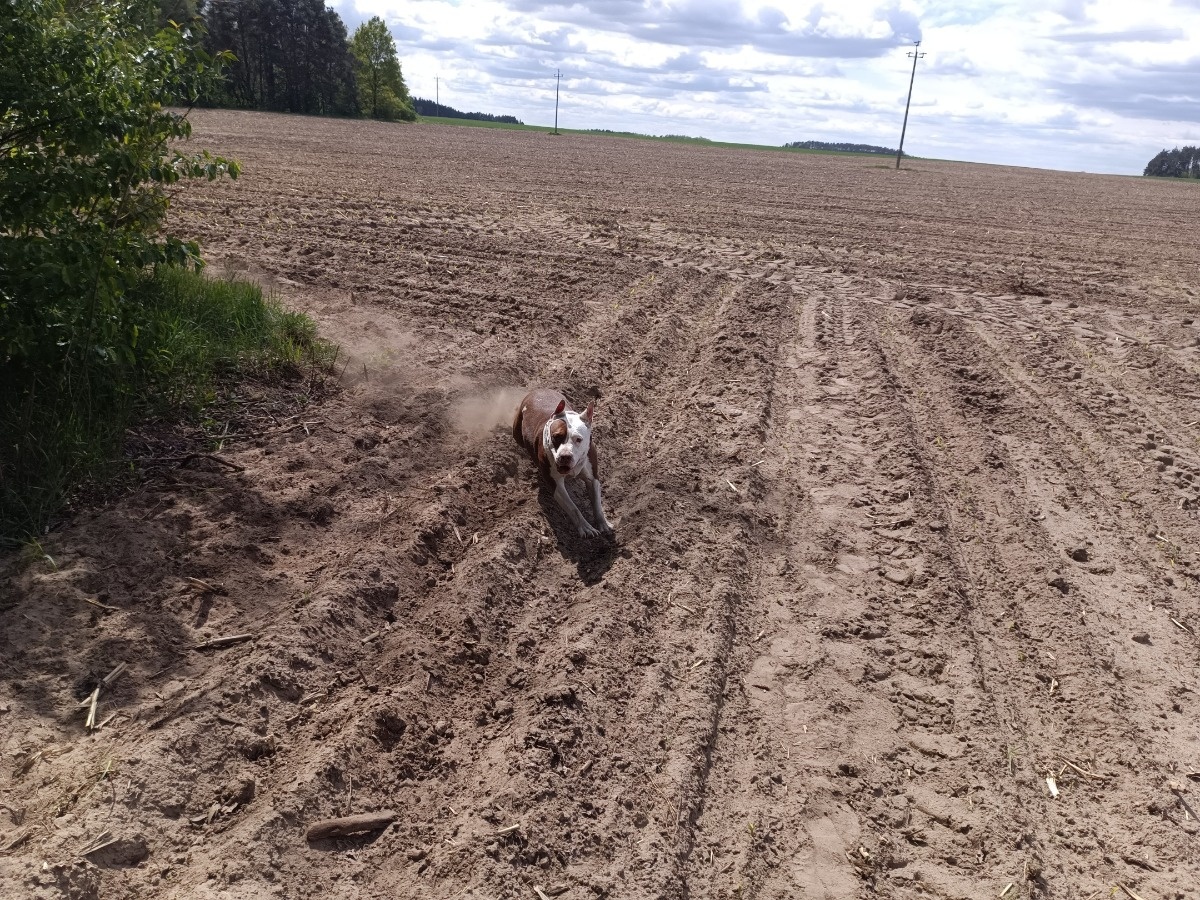 5ac9e221-4ff8-4437-a541-cda8ae503863