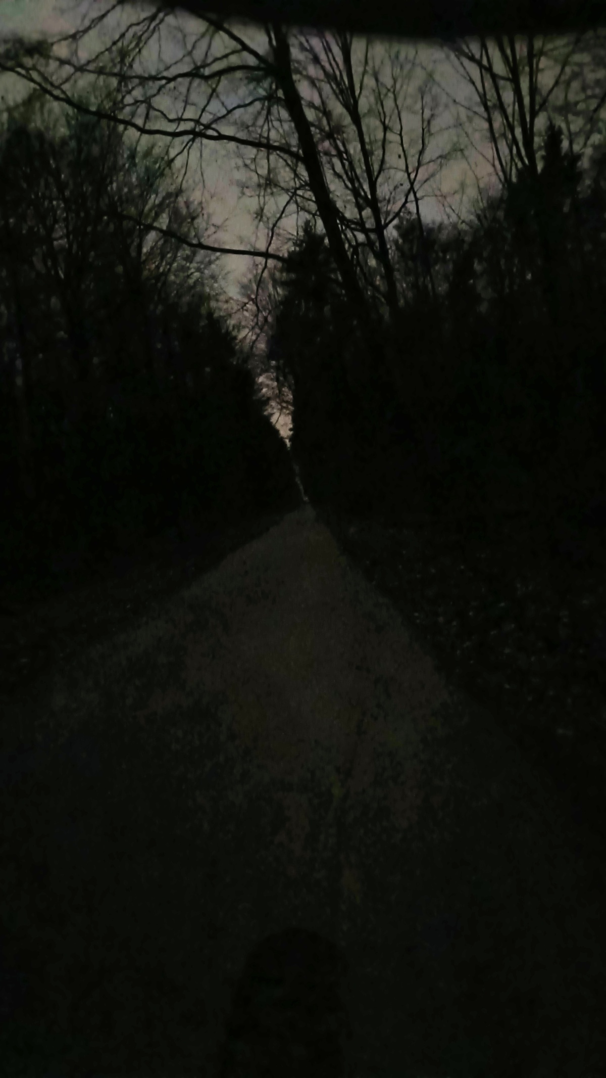 37f88dc2-4d45-4727-84da-a4f1ddb8190c