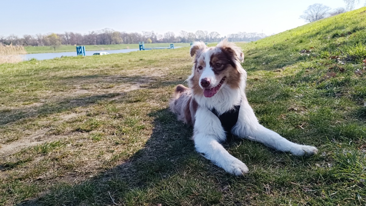 b218d3ab-34a1-4c9a-a96a-89511f03f535