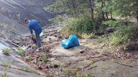 Białorusin posprzątał polski las, miasto chce mu podziękować