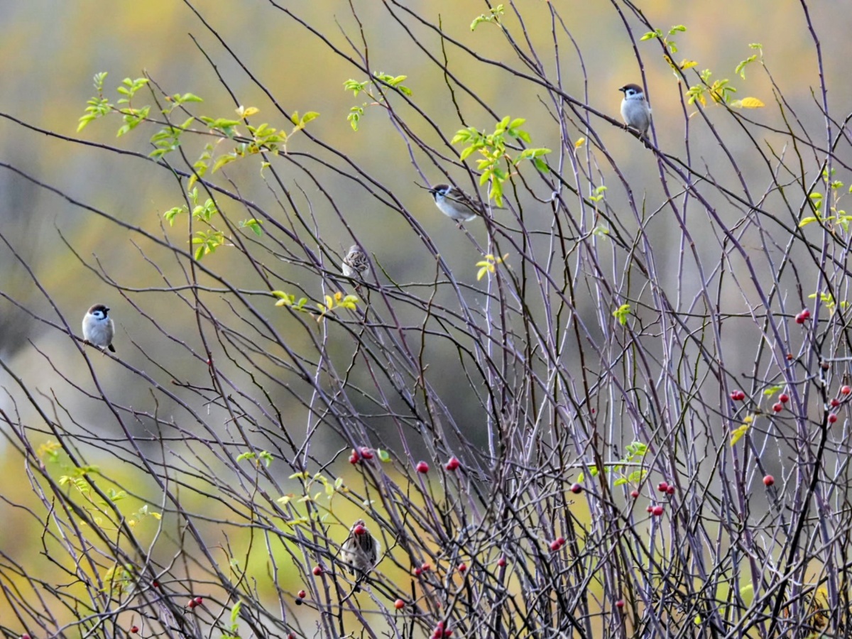 5c0d1fef-5938-45a9-9714-a7551453a9a0