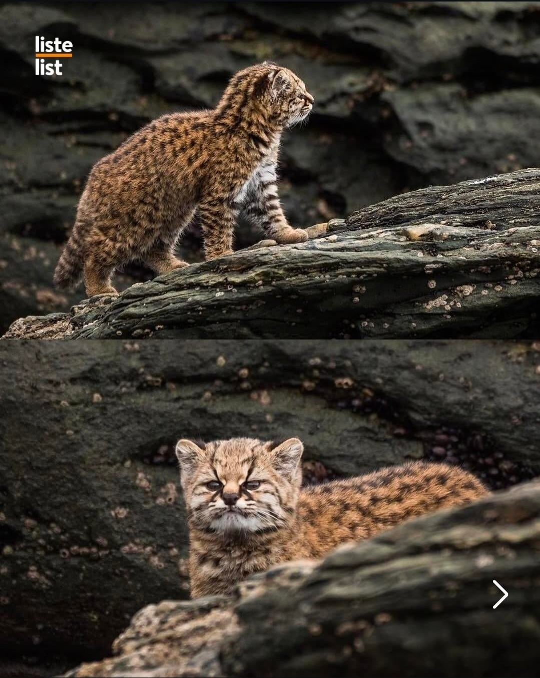 a9615e7c-6cd0-4908-9637-11988d18c6eb