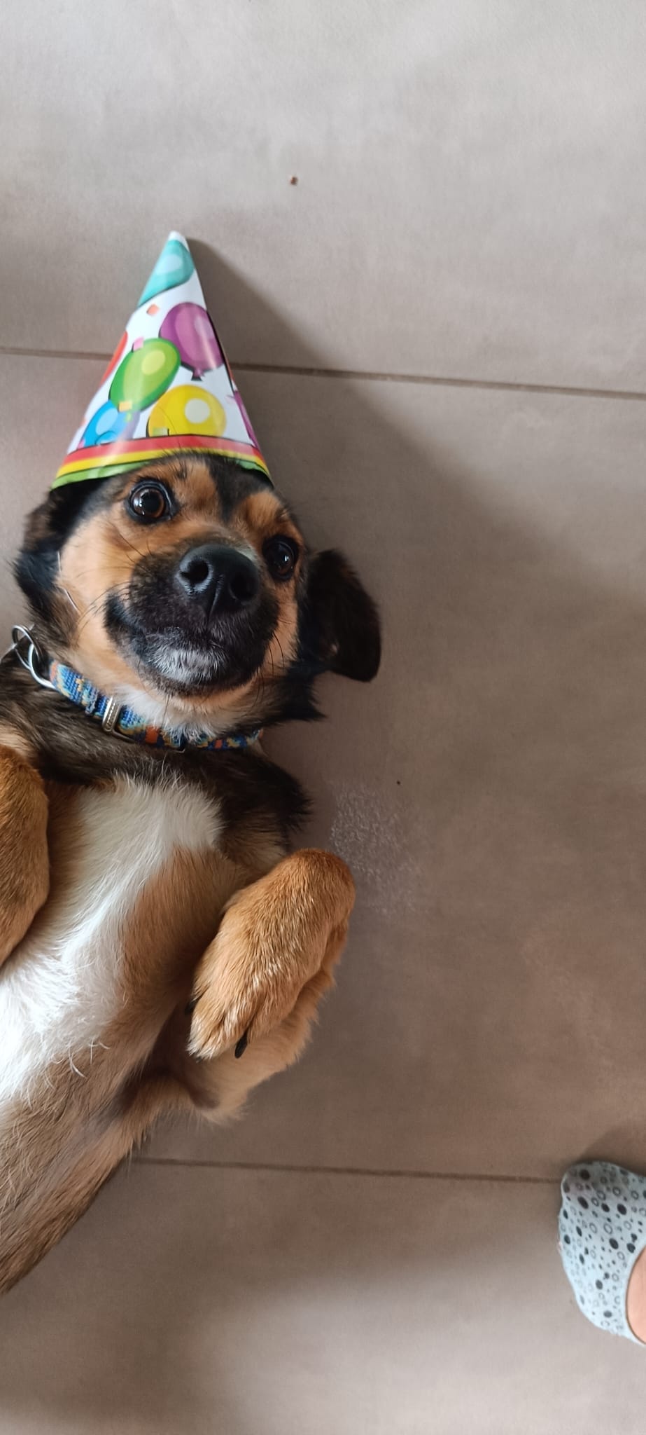 bc319f55-2e7b-4bdc-abed-5306d36351e7