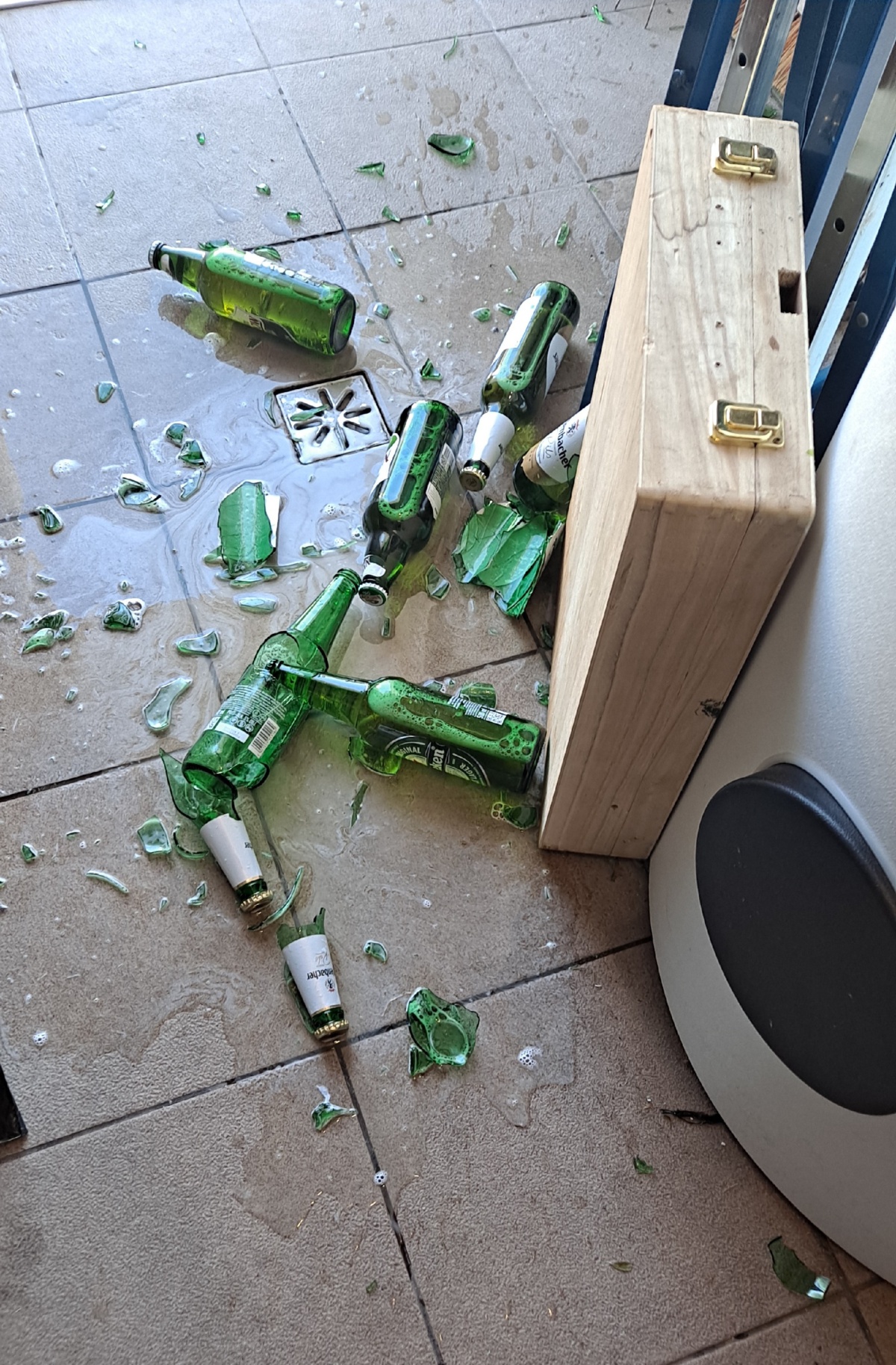 c5ed2444-792e-464a-80c4-7a517fbcd482